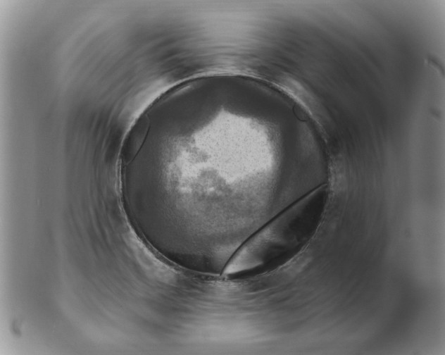 X0000100781468200807101804