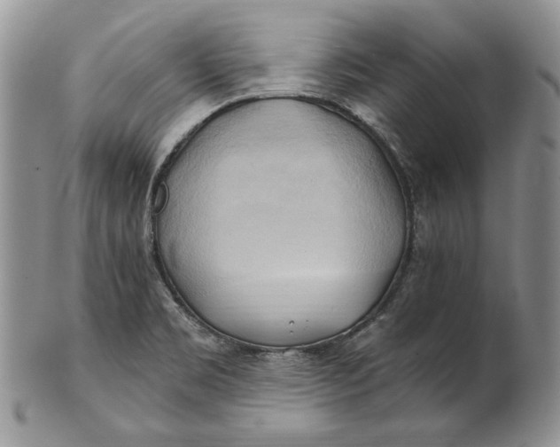 X0000100781469200807101804