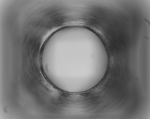 X0000100781470200807101804