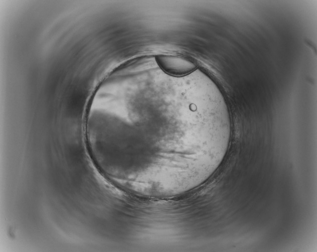 X0000100781471200807101804