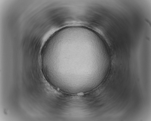 X0000100781472200807101804