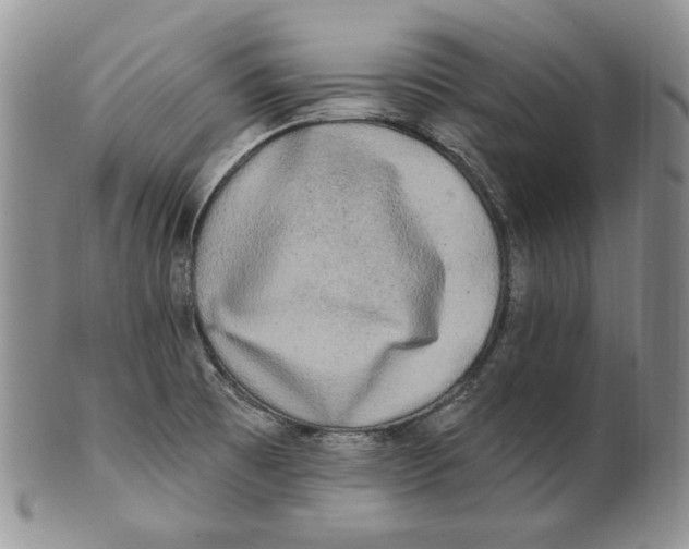 X0000100781473200807101804