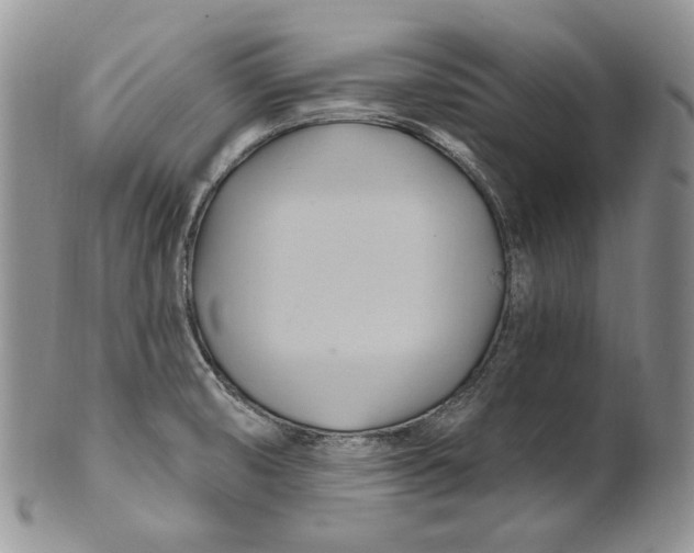 X0000100781474200807101804