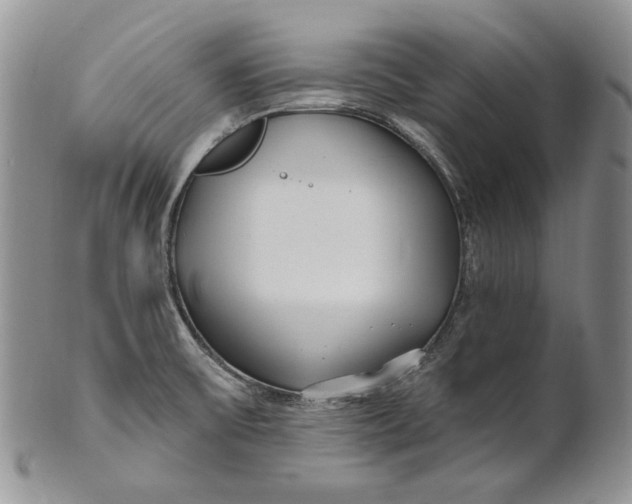 X0000100781475200807101804