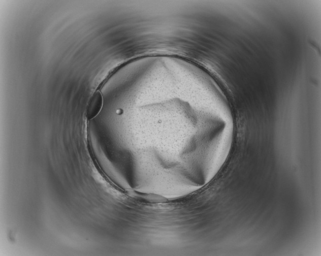 X0000100781476200807101804