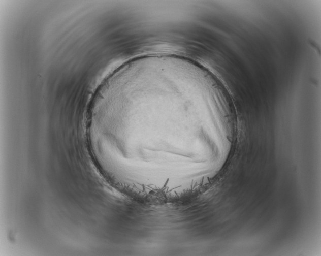 X0000100781477200807101804