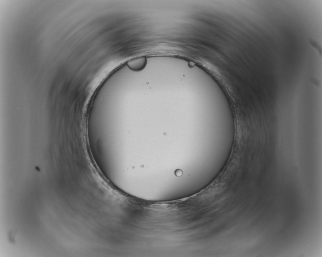 X0000100781478200807101804