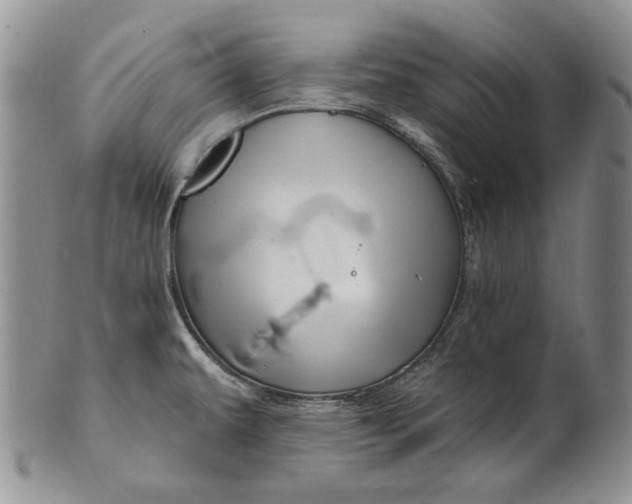 X0000100781479200807101804