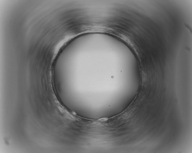 X0000100781480200807101804