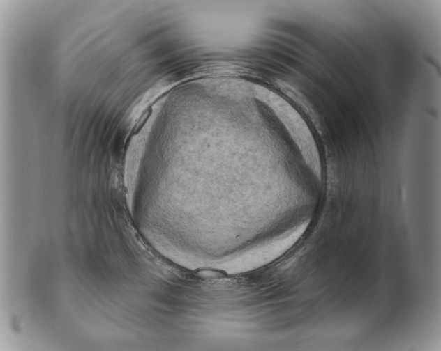 X0000100781481200807101804