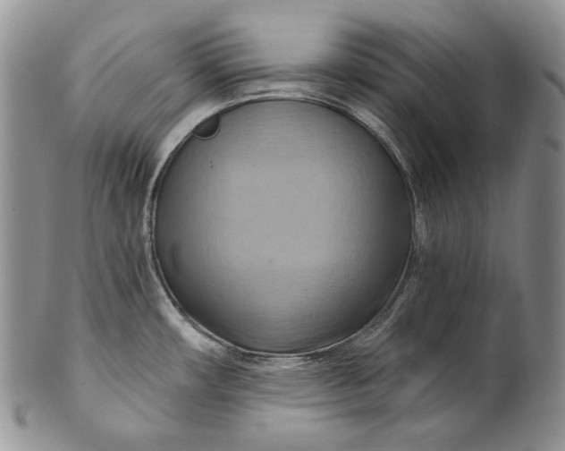 X0000100781482200807101804