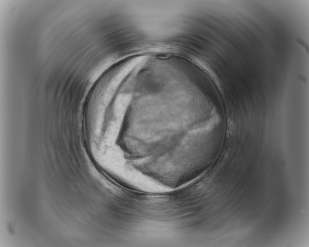 X0000100781483200807101804