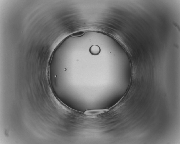 X0000100781484200807101804