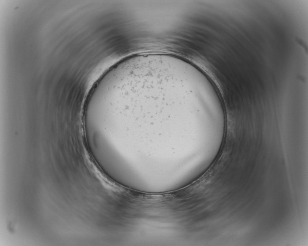 X0000100781485200807101804