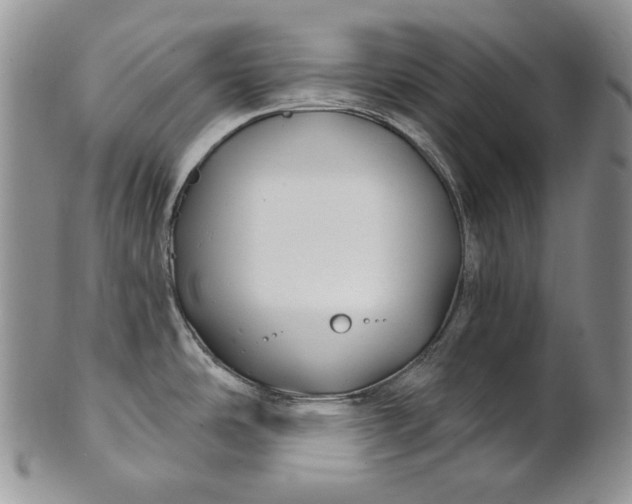 X0000100781486200807101804