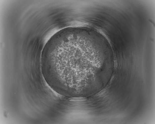 X0000100781487200807101804