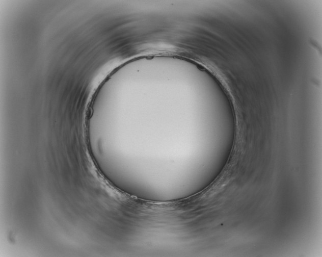 X0000100781488200807101804