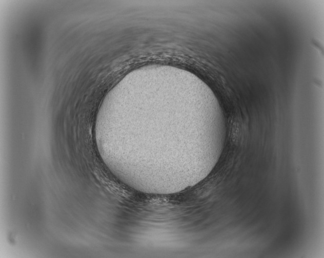 X0000100781489200807101803