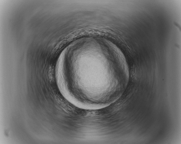 X0000100781490200807101803