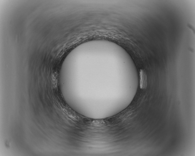 X0000100781491200807101803