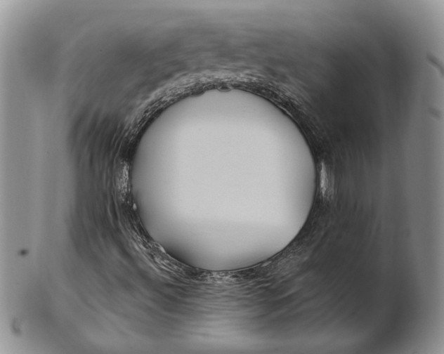 X0000100781492200807101803