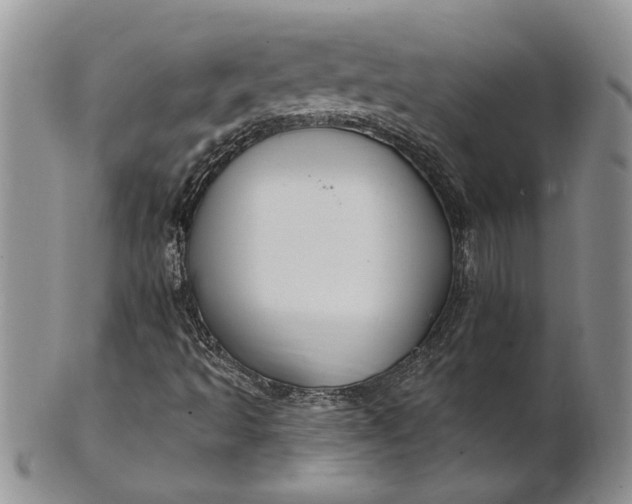 X0000100781493200807101803