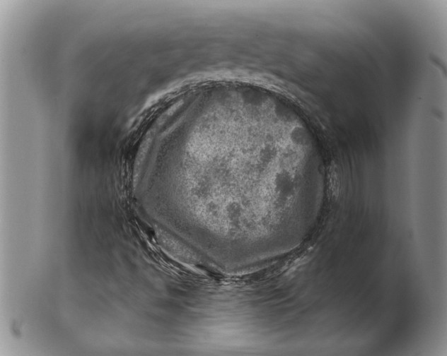 X0000100781494200807101803