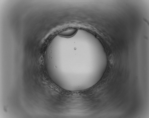 X0000100781495200807101803