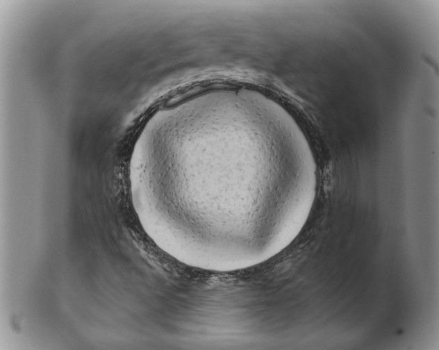 X0000100781496200807101803