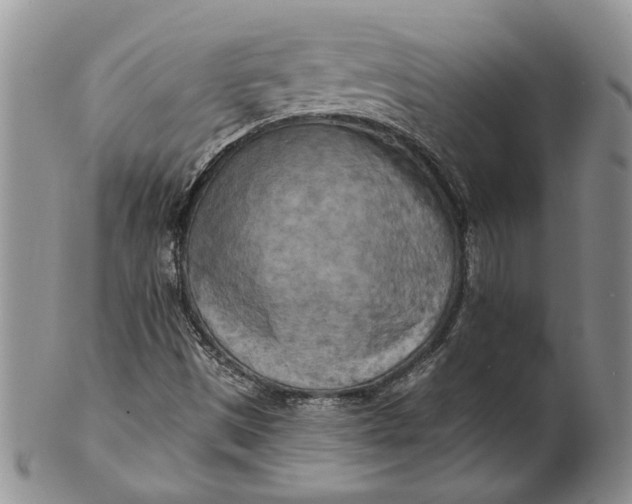 X0000100781497200807101803