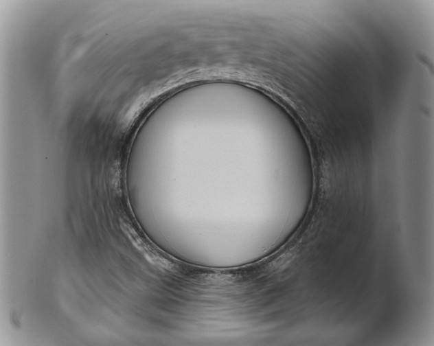 X0000100781499200807101803