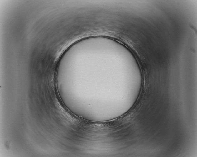 X0000100781500200807101803