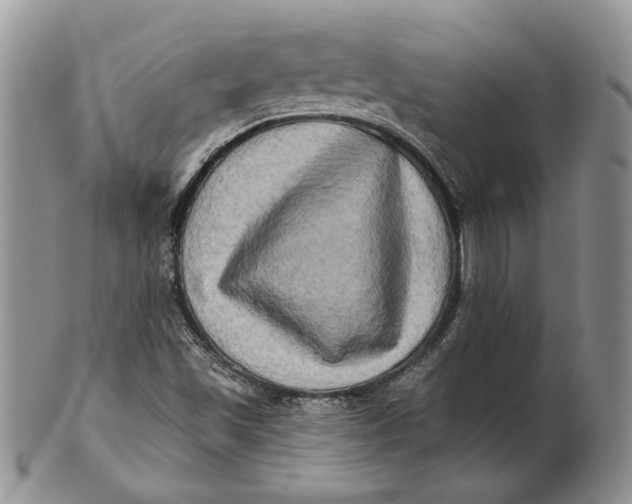 X0000100781501200807101803