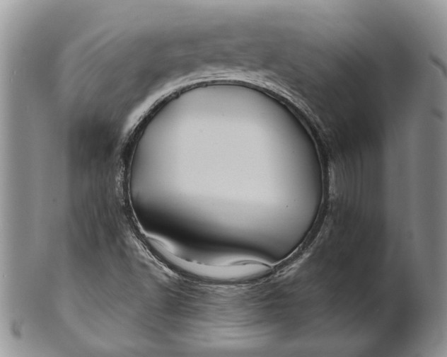 X0000100781502200807101803