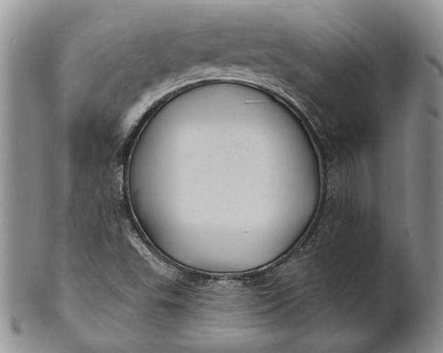 X0000100781503200807101803