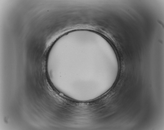 X0000100781504200807101803