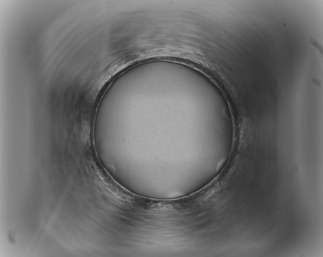 X0000100781505200807101803