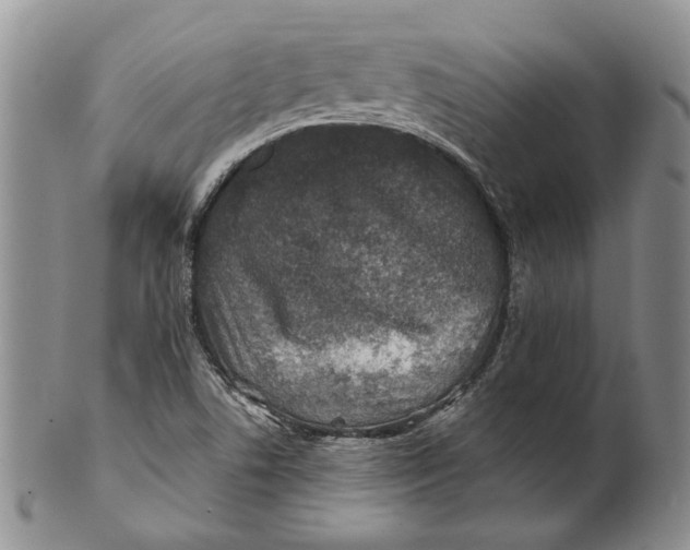 X0000100781506200807101803