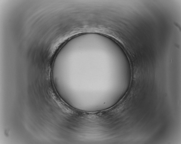 X0000100781507200807101803