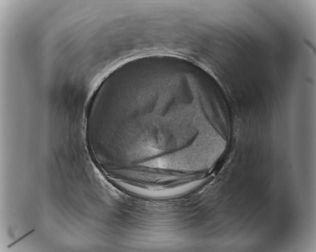 X0000100781508200807101803