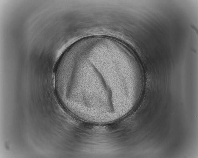 X0000100781509200807101803