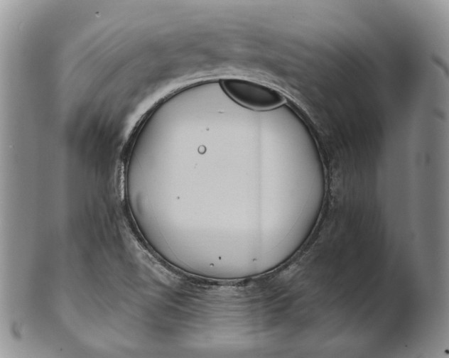 X0000100781510200807101803