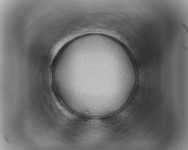 X0000100781511200807101803