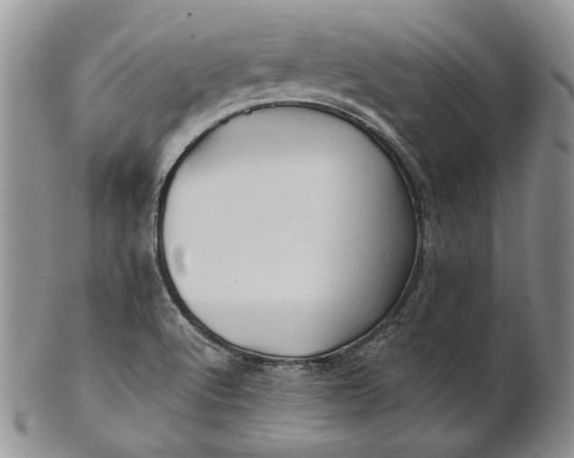 X0000100781512200807101803