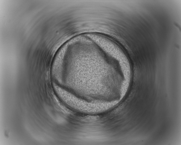 X0000100781513200807101803