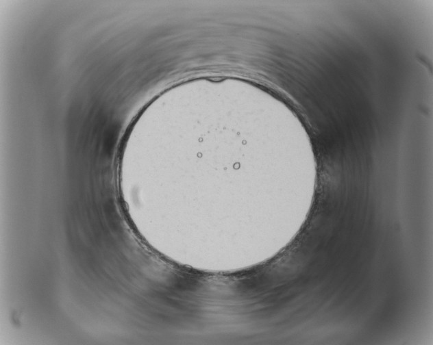 X0000100781514200807101803