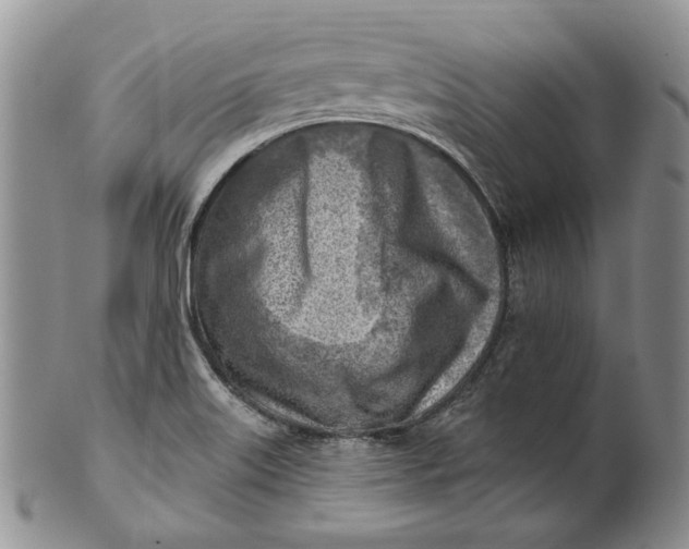 X0000100781515200807101803