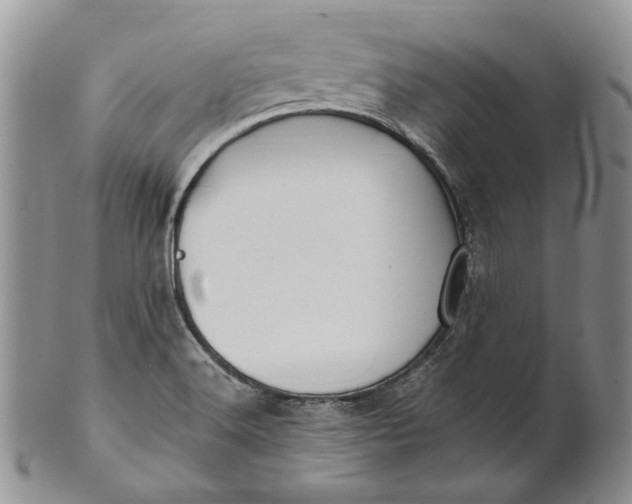 X0000100781516200807101803