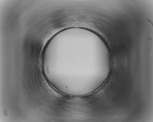 X0000100781517200807101803