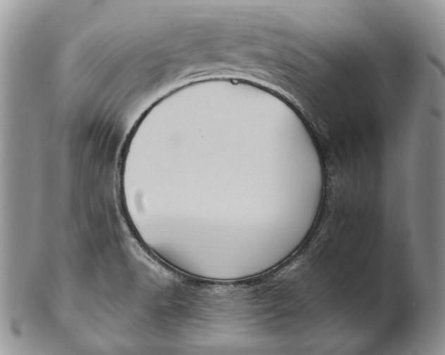 X0000100781518200807101803